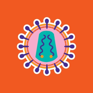 The life cycle of HIV