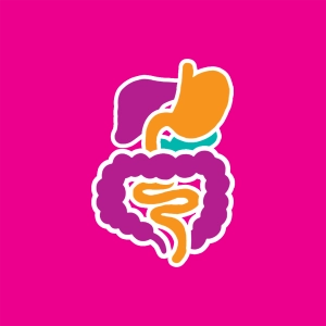 Digestive tract