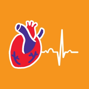 Heart cycle