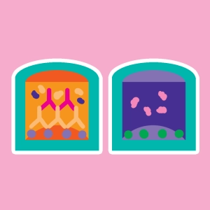 Indirect enzyme-linked immunosorbent assay (ELISA)