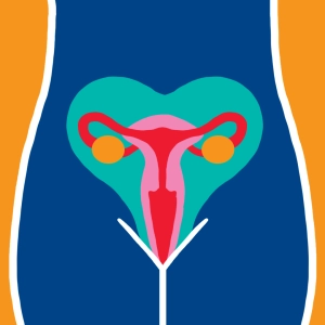 Menstrual cycle #2