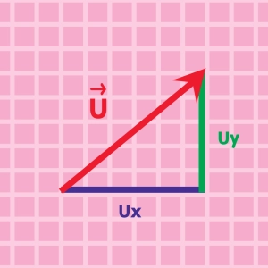 Components of a vector