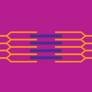 Muscle contraction (sarcomere)