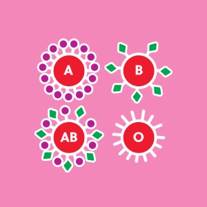 Vereblichkeit und Blutgruppen A-B-O