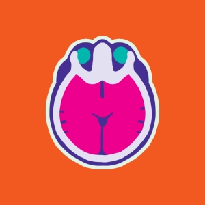 Cranial CT scan