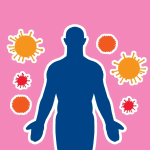 Immune system
