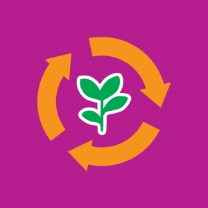 Plant life cycle