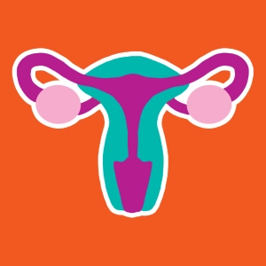 Quiz Female reproductive system