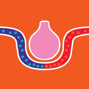 Respiratory system