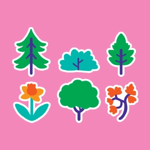 Clasificación de las plantas
