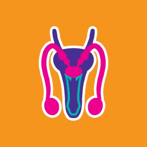 Quiz Male reproductive system