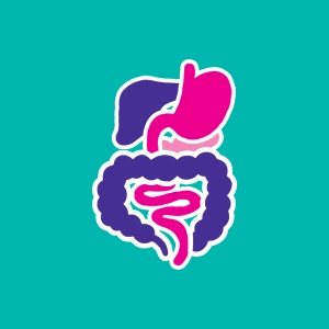 Quiz: Digestive tract