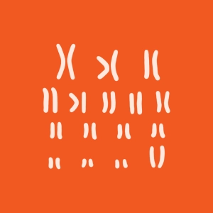 Karyotype game