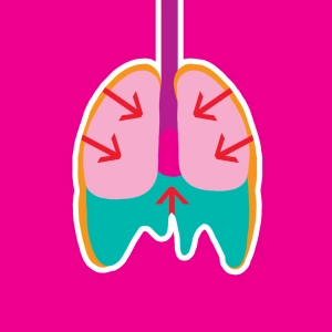 Video: Respiratory movements