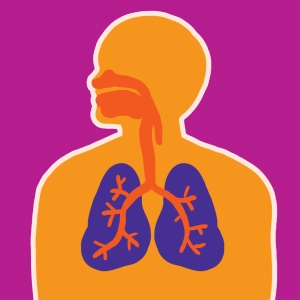 Video: Pulmonary respiration