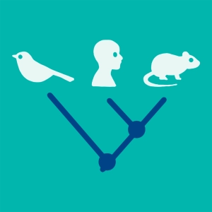 Árbol evolutivo (cladograma)