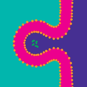 Exocytosis - Endocytosis